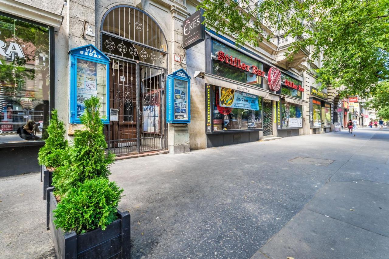 Sun-Splashed Retreat In The Heart Of A Vibrant Quarter Будапеща Екстериор снимка